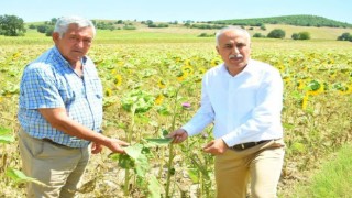Çiftçiye sıfır faizli kredi üreticilere nefes aldıracak