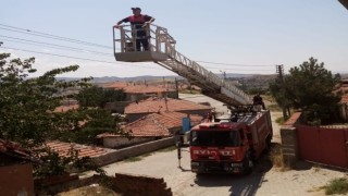 Çıktığı ağaçtan inemeyen kediyi itfaiye kurtardı