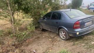 D100 karayolunda yoldan çıkan otomobil ağaca çarparak durdu