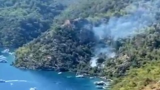 Dalamanda orman yangını