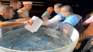 Denizlerde av sezonu başladı