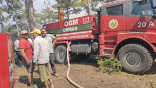 Denizlide korkutan yangın