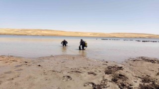 Diyarbakırda gölete giren Suriyeli çocuk kayboldu