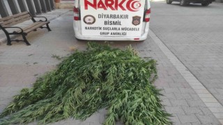 Diyarbakırda ‘huzur uygulaması: Silah ve uyuşturucu ele geçirildi