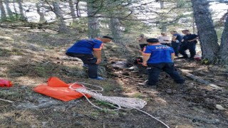 Doğa yürüyüşü yapmak için gittiği ormanda hayatını kaybetti