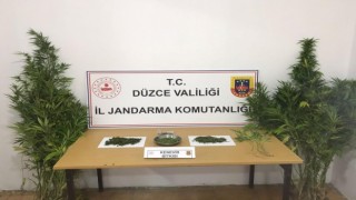 Düzcede 51 şüpheli yakalandı