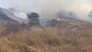 Edirnede orman yangını kontrol altına alındı