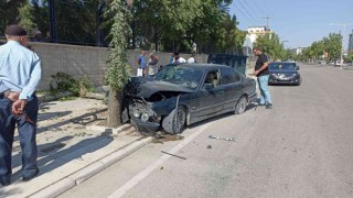 Elazığda otomobil ağaca çarptı: 1 yaralı