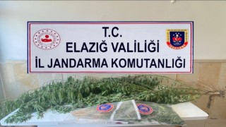 Elazığda varil içerisine zulalanmış kenevir ele geçirildi