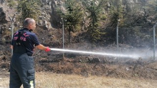 Elektrik akımına kapılan güvercin ağaçlık alanda yangın çıkardı