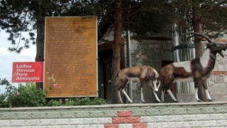 Erzincanda şifalı su
