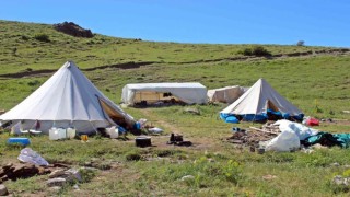 Erzincanlı göçerlerin yayla hayatı