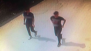 Fındık fareleri 53 saatlik kamera incelemesi sonrasında yakayı ele verdi