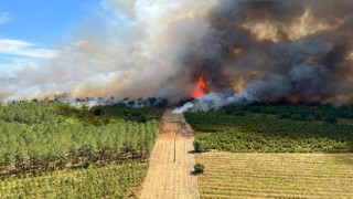 Fransanın güneybatısında orman yangını: 6 bin hektar alan kül oldu