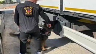 Gübre çuvallarının arasında kaçak sigara sevkiyatına polis darbesi