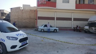 Güvenlik görevlisi silahlı saldırıda hayatını kaybetti