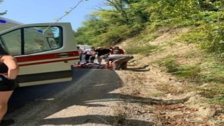 Hareket halindeki araçtan düşen vatandaş yaralandı