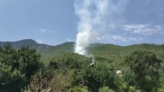 Hatayda orman yangını
