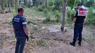 Hayvanları aç ve susuz bıraktı, cezası ağır oldu
