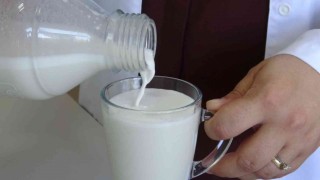 Hayvansal süte alternatif ‘bitkisel süt