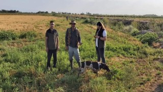 Iğdırda av kontrol faaliyetleri devam ediyor