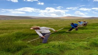 Iğdırlı fotoğraf sanatçısının çektiği video milyonlar tarafından izlendi