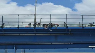İntihar girişiminde bulunan şahsı polis düşeceği esnada ellerinden yakaladı