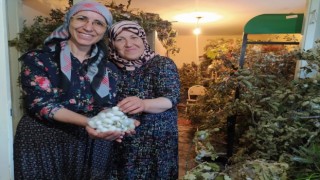 İpek Yolu üzerindeki sakin şehir Mudurnuda kozacılık kadınlarla hayat buldu