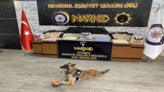 İstanbulda narkotik operasyonu: 72 kilo esrar ile yüz binlerce uyuşturucu hap ele geçirildi