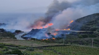 İtalyanın Pantelleria Adasında orman yangını
