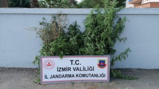 İzmirde uyuşturucu baskınları: 27 şüpheli yakalandı