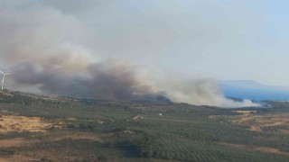 İzmirde ziraat arazisinde çıkan yangın kontrol altına alındı