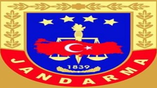 Jandarma 1 ayda 8 farklı suçtan 253 kişiye işlem yaptı