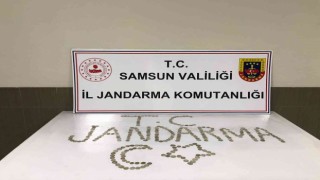Jandarma Selçuklu dönemine ait 286 adet sikke ele geçirdi: 3 gözaltı