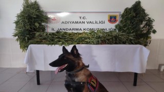 Jandarma uyuşturucuya geçit vermiyor