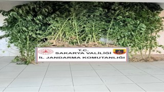 Jandarma uyuşturucuya geçit vermiyor: 2 gözaltı