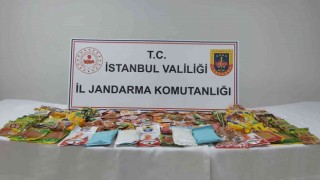 Jandarmadan bonzai operasyonu