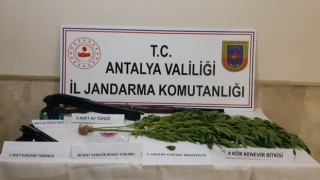 Jandarmadan Finikede uyuşturucu operasyonu: 1 gözaltı