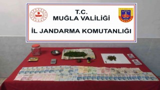 Jandarmadan uyuşturucu operasyonu