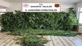 Jandarmadan uyuşturucu ve kaçak sigara operasyonu: 2 gözaltı