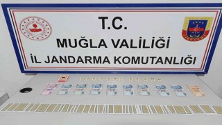 Jandarmadan yasadı dışı bahis denetimi