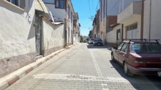Kadıköyde bir sokağı pire ve keneler sardı