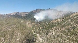 Kahramanmaraşta orman yangını