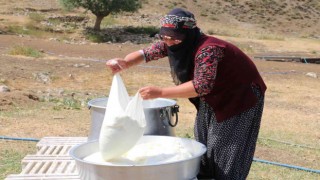 Kahvaltı sofralarına 3 bin rakımdan gelen lezzet: Erzincan tulum peyniri