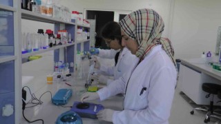 Kanser hastalarını umutlandıran gelişme