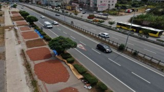 Karadeniz Sahil Yolu fındıkçılar için harman yeri oldu