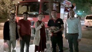 Karsta itfaiyeden kedi kurtarma operasyonu