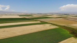 Karsta tarlalardan bereket fışkırdı