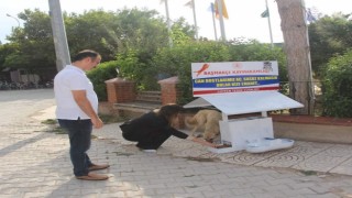 Kaymakam Ateş yeni görev yerine giderken can dostları unutmadı