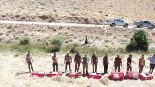 Keklikler dron ile görüntülendi